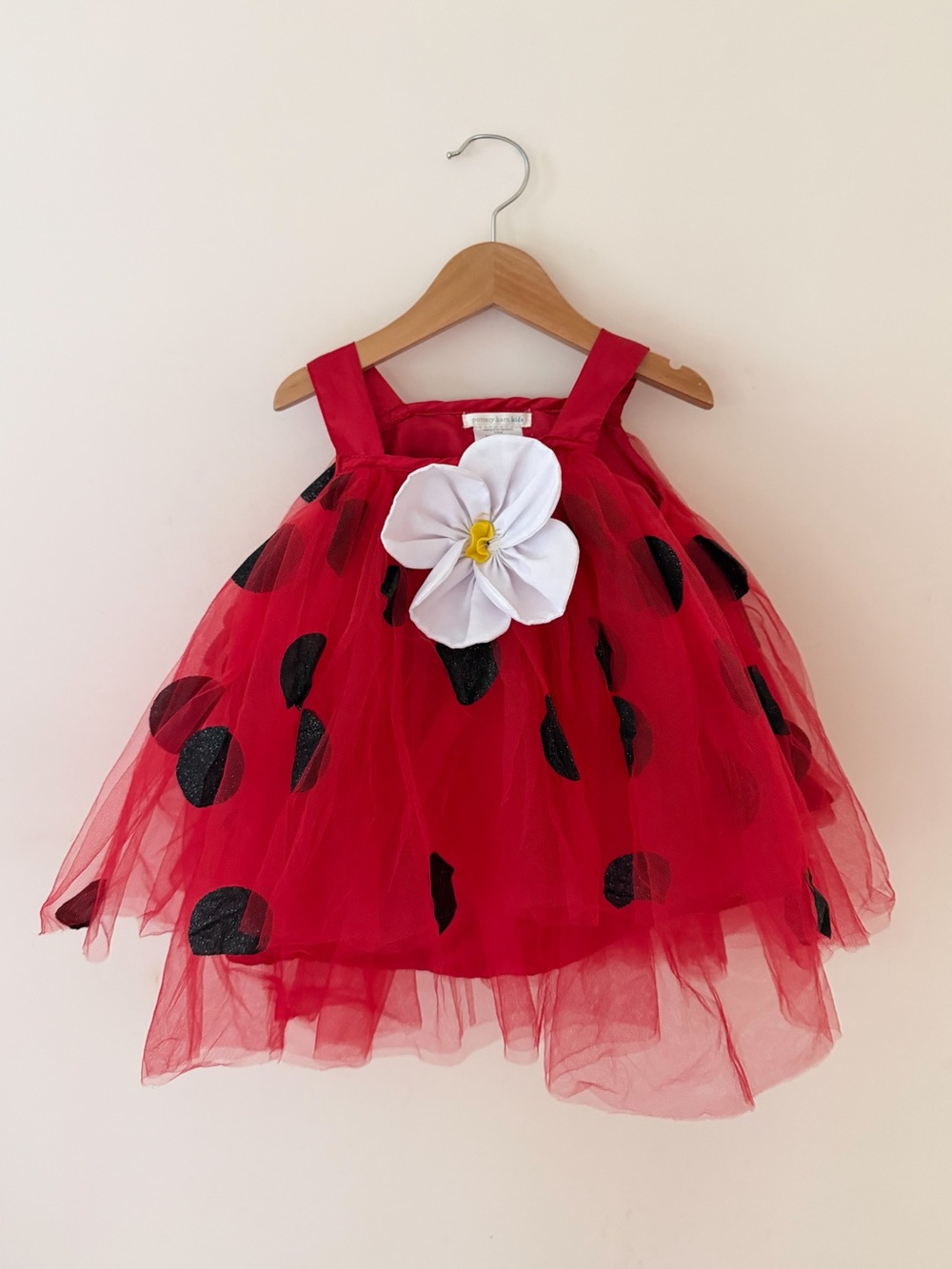 POTTERY BARN KIDS VGUC Baby Ladybug Tulle Costume Dress
